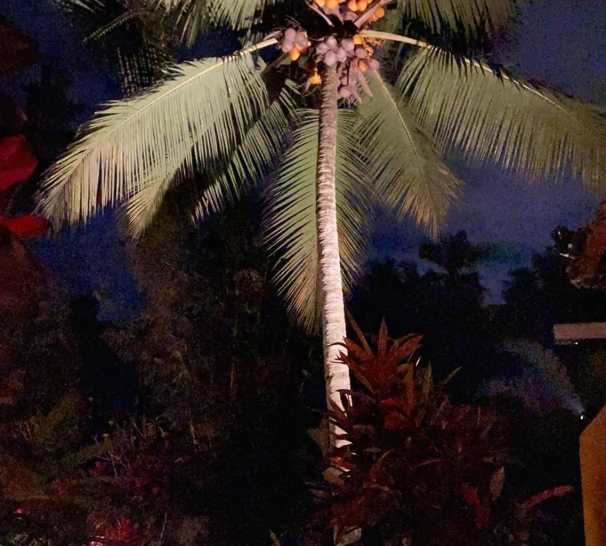 Our Bali Homestay Ubud